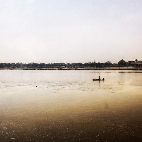 Photo #7445779