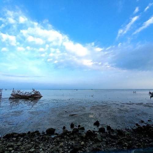 Photo #7445784