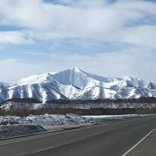 Photo #7445785