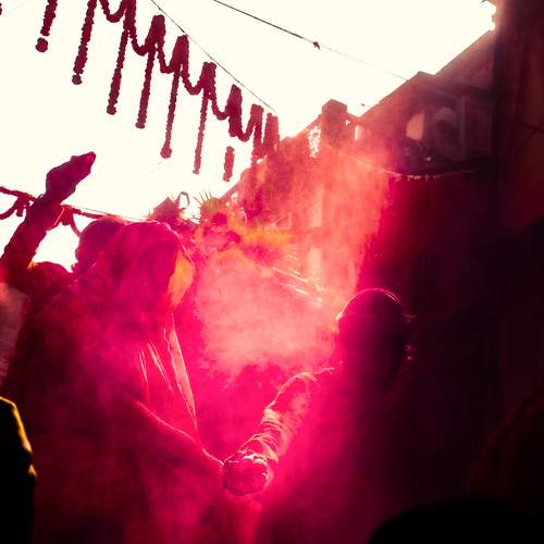 Photo #7445892