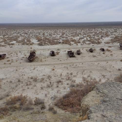 Photo #7445902