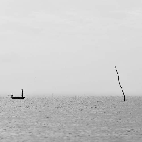 Photo #7445918