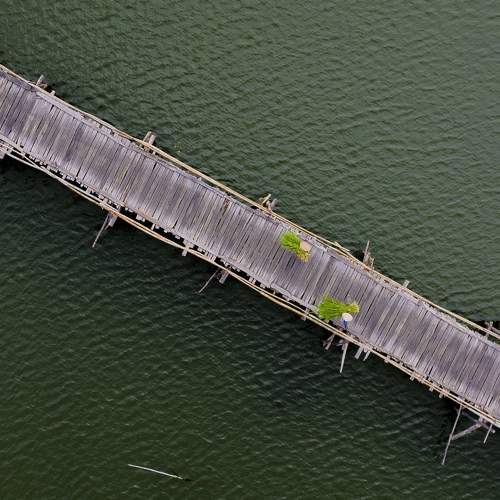 Photo #7445993