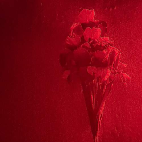 Photo #7446216