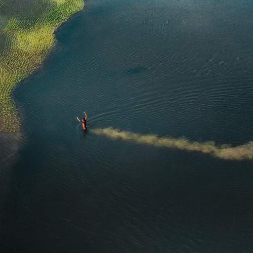 Photo #7446221