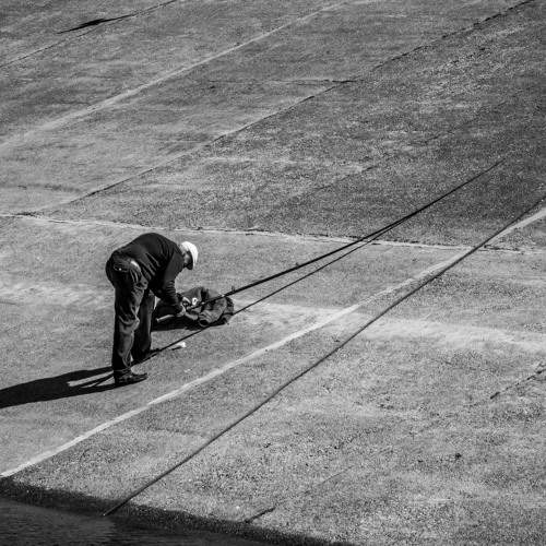 Photo #7446252