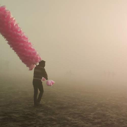 Photo #7446342