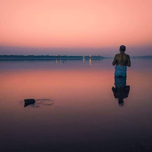 Photo #7446343