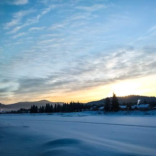 Photo #7446561