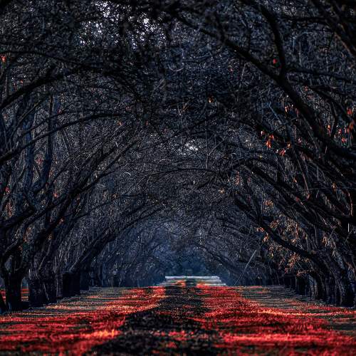 Photo #7446684