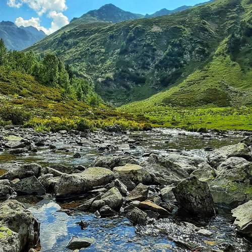 Photo #7446773