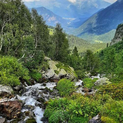 Photo #7446775