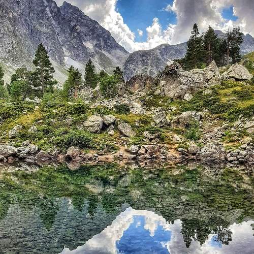 Photo #7446782