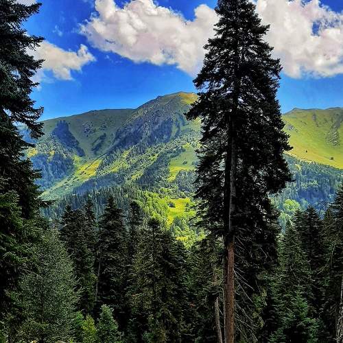 Photo #7446795