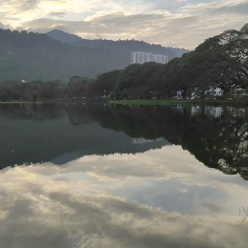 Photo #7446912
