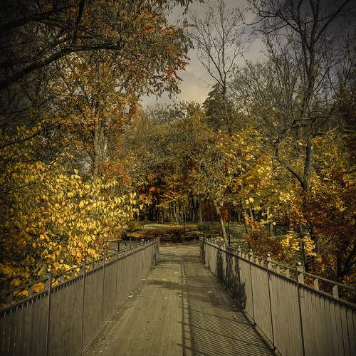 Photo #7447001