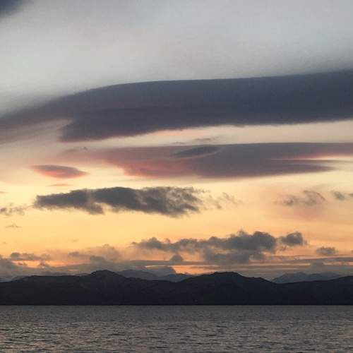 Photo #7447006