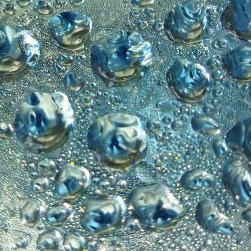 Photo #7447128