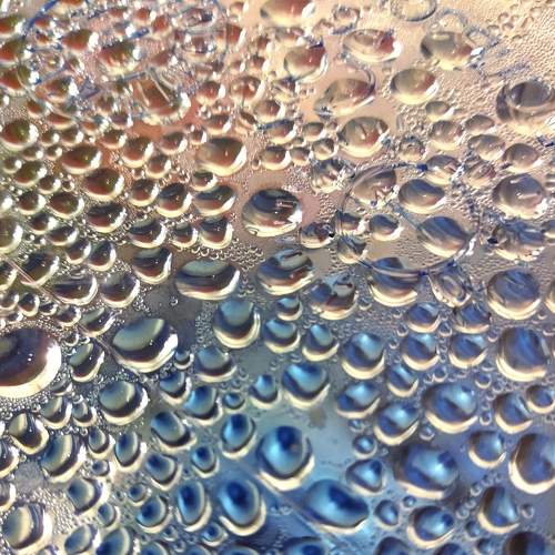Photo #7447176