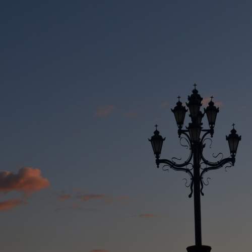 Photo #7447199