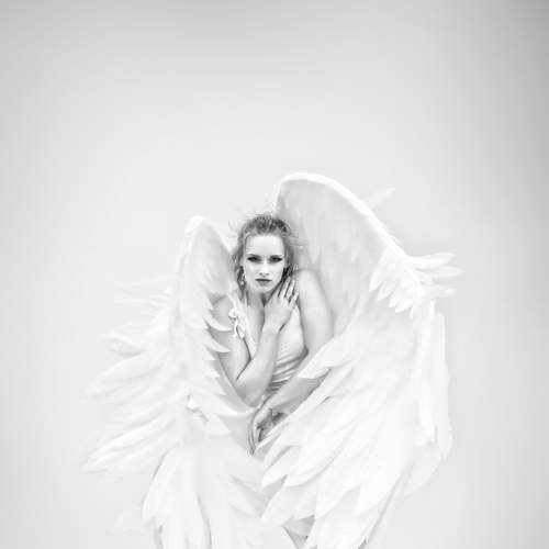 Фотография #7447429