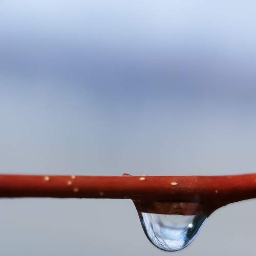 Photo #7447755