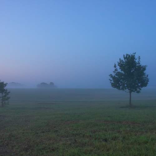 Photo #7448209