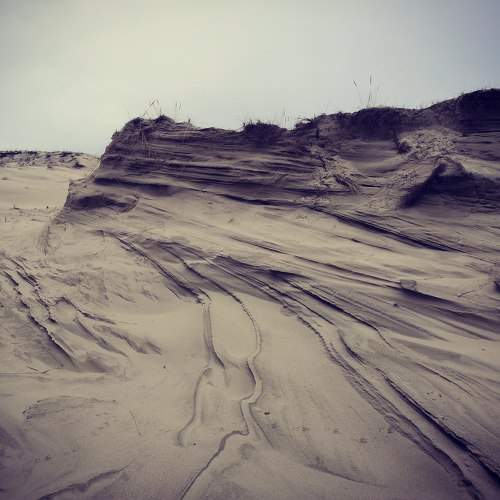 Photo #7448217