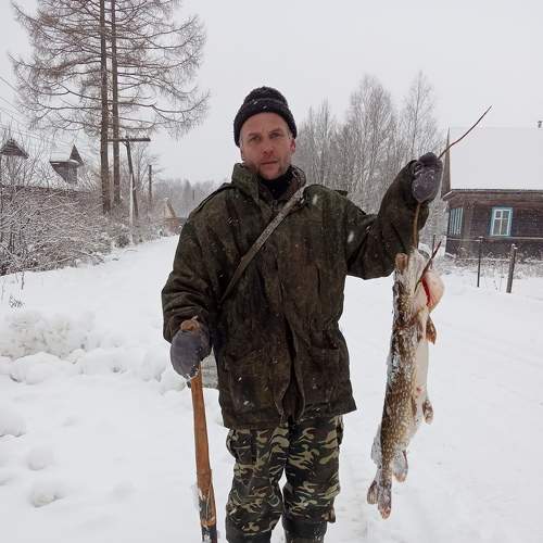 Photo #7448351