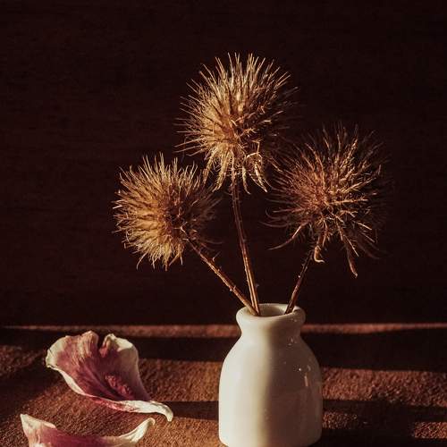 Photo #7448377