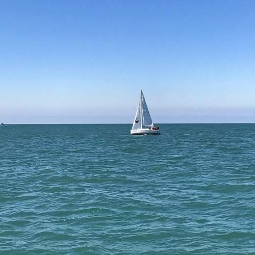 Photo #7448525