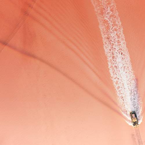 Photo #7448725