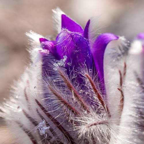 Photo #7448957