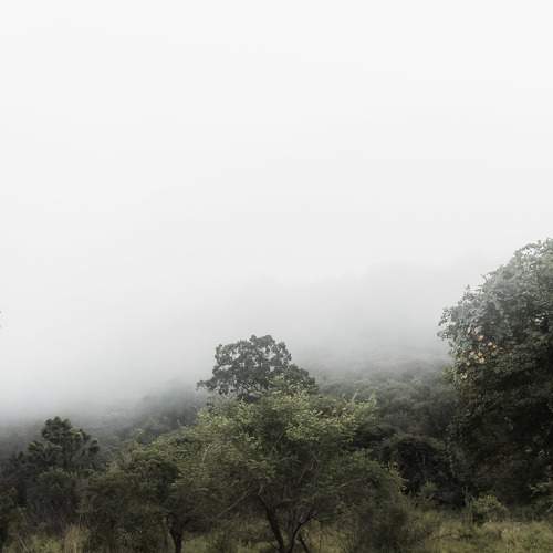 Photo #7449570