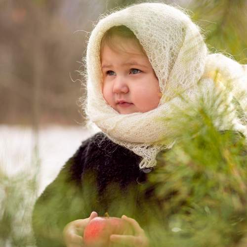 Photo #7450084