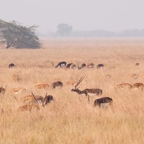 Photo #7450211