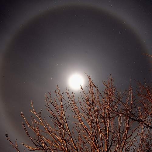 Photo #7450454