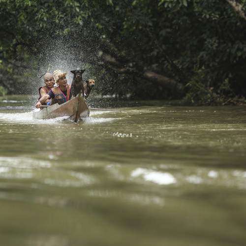 Photo #7450615