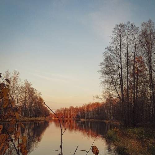 Photo #7450776