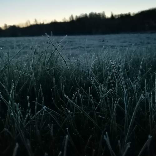 Photo #7450824