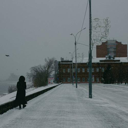 Photo #7451024