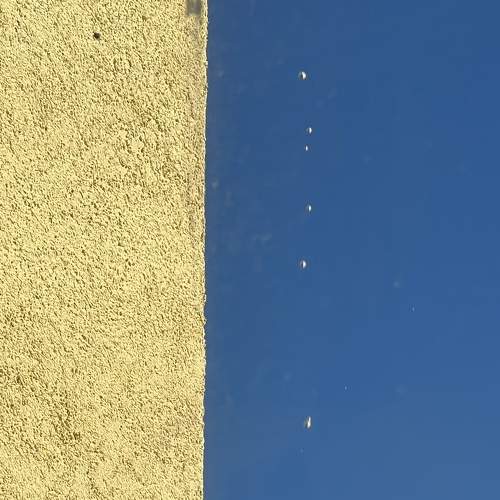 Photo #7451244