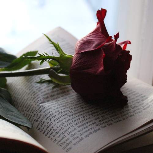 Photo #7451408