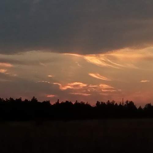 Photo #7451621