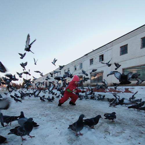 Photo #7451841
