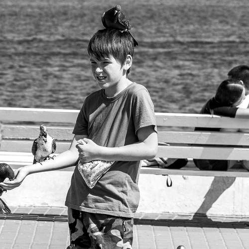 Photo #7451859