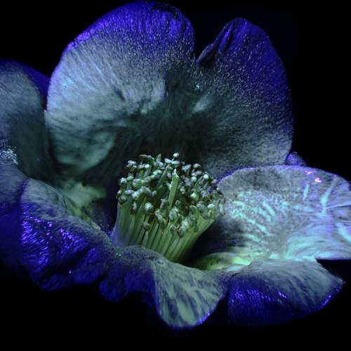 Photo #7451970