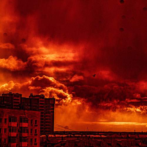 Photo #7451979