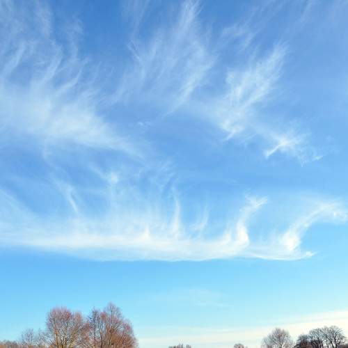 Photo #7452014