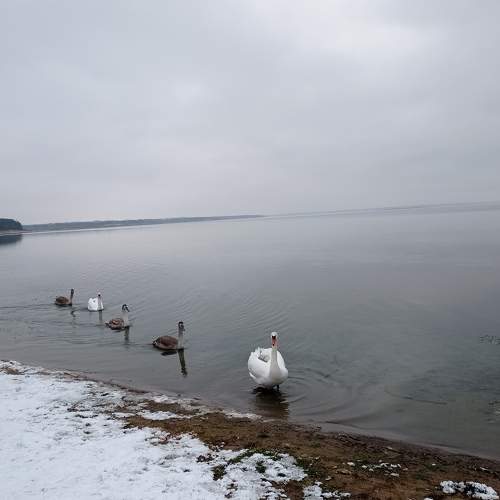 Photo #7452044